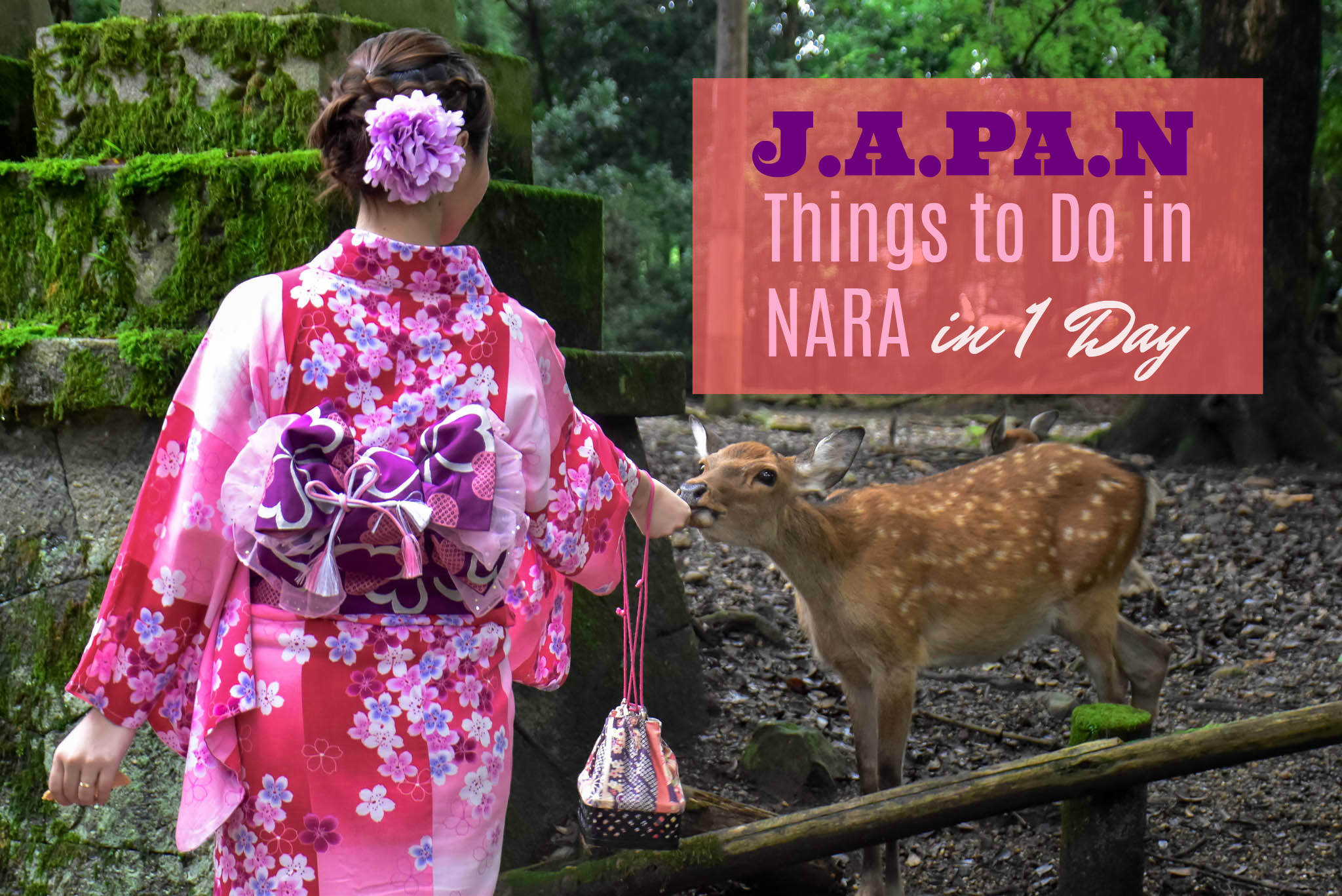 What To Do In Nara In 1 Day The Pinay Solo Backpacker Blog